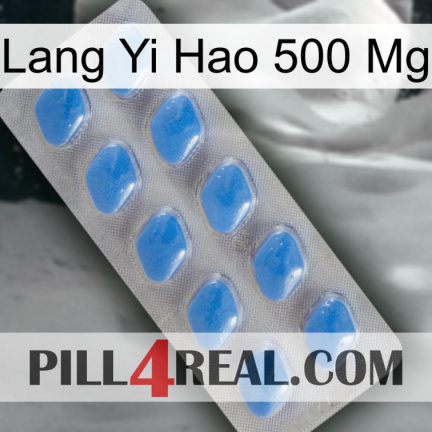 Lang Yi Hao 500 Mg 22